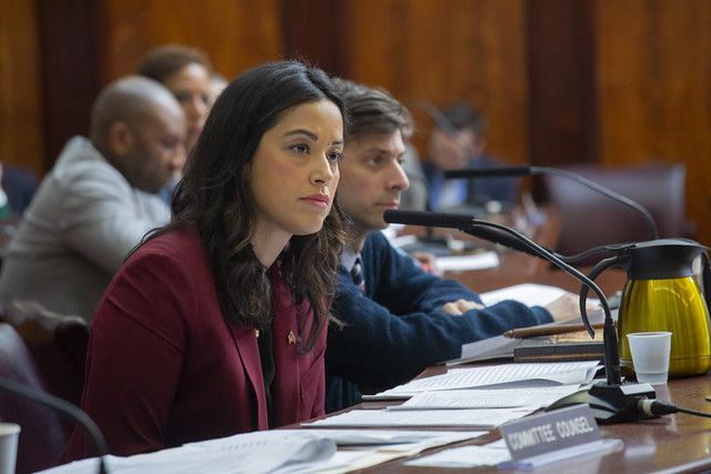 Manhattan Councilwoman Carlina Rivera and Brooklyn Councilman Stephen Levin at Wednesday's City Council hearing on how marijuana use can lead to investigations of child abuse
